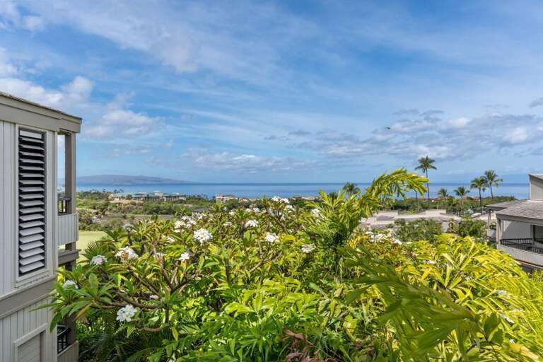 44 WAILEA EKOLU, 914