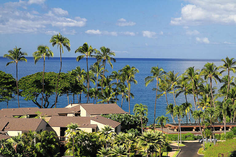 2 WAILEA ELUA, #0106