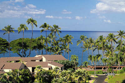 2 WAILEA ELUA, #0106