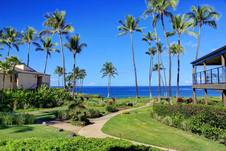32 WAILEA ELUA, 1403