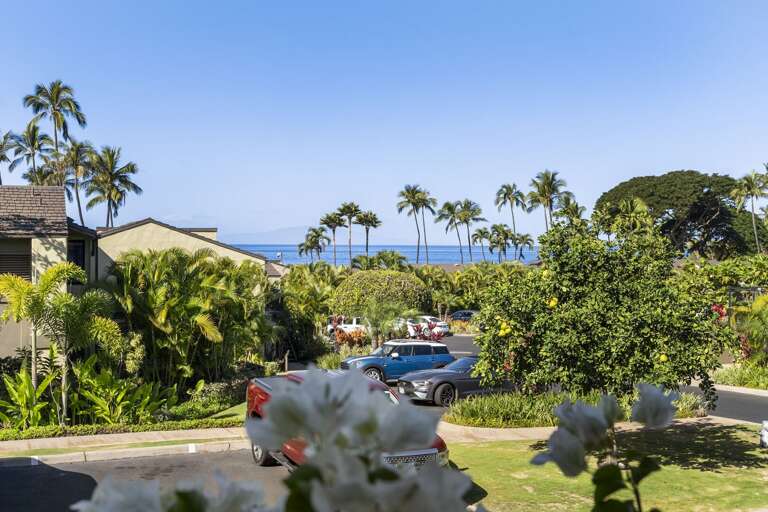 Wailea Condo Rental