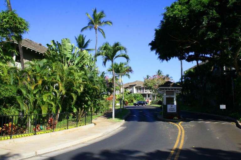 36 Wailea Grand Champions 148