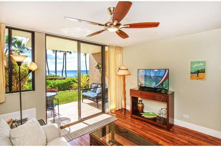 Room With Tropical Terrace View, Ceiling Fan Above, TV And Couch