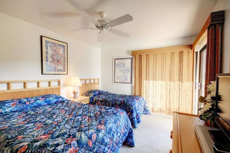 30 WAILEA ELUA, #0902