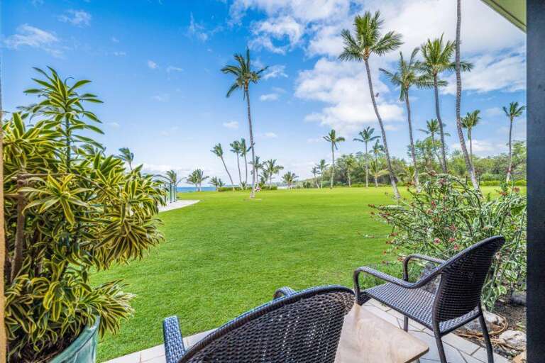 Patio View With Palms, Plush Green, And Ocean Panorama