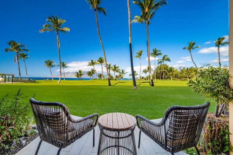 Patio View With Palms, Grass, Sea, And Sky