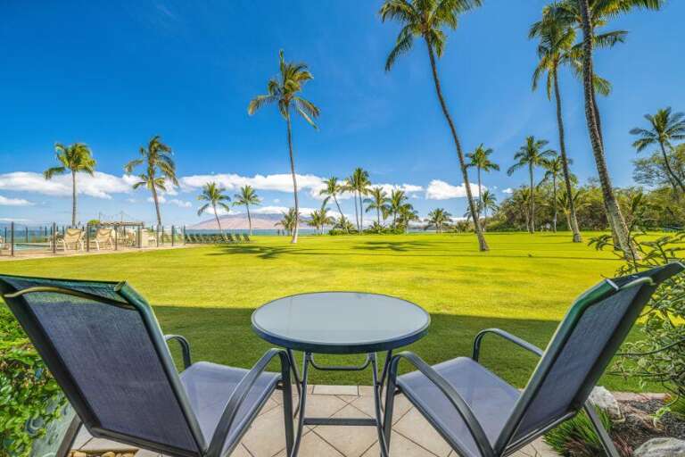 Patio Paradise With Palm Panorama, Pristine Pastures, Poised Patio Chairs