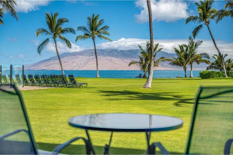 Palm-lined Panorama With Sea View, Serene Skies, And Lush Lawn Seen Through A Table Setup