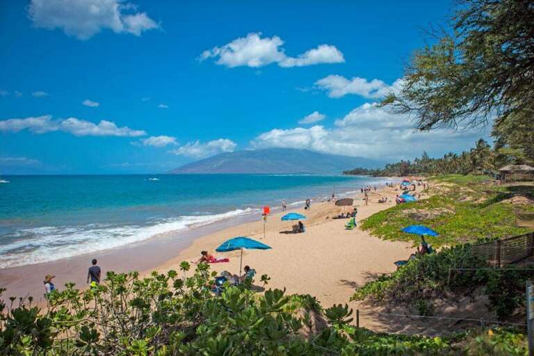 Find Rentals Find Rentals