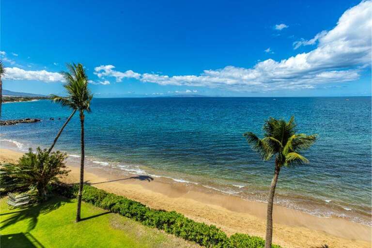 Palm-lined Pristine Beach Beneath Blue Skies