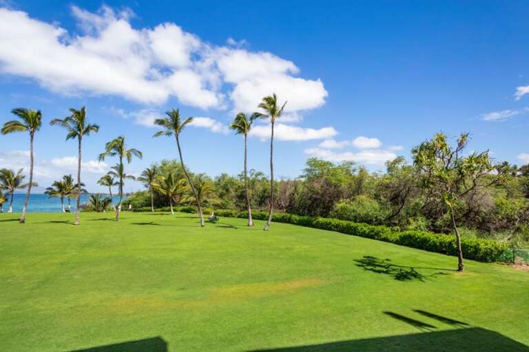 Palm Trees And Placid Parkland Under Pristine Sky