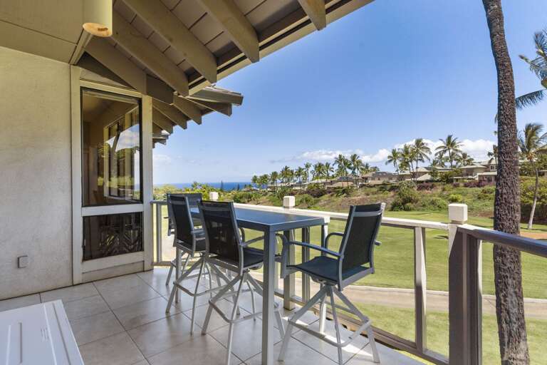 Wailea Grand Champion #90