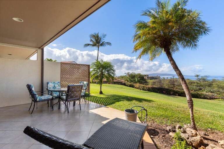 Vacation Rental View With Verdant Vista, Vibrant Palm, And Patio Poised For Leisure