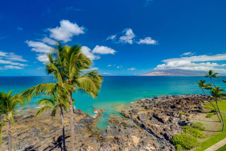 Tropical Seascape Showing Sapphire Sea, Sky, And Swaying Palms