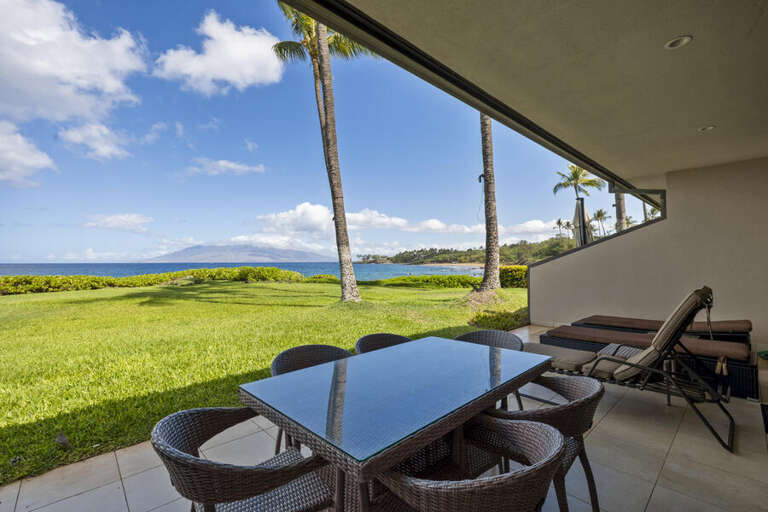 Patio View Of Palatial Pacific Panorama, Palm Trees Pairing With Plush Green Pastures At Vacation Rental