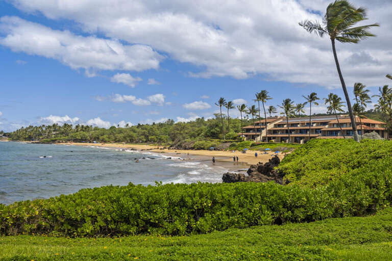 MAKENA SURF, #F-111 MAKENA SURF, #F-111