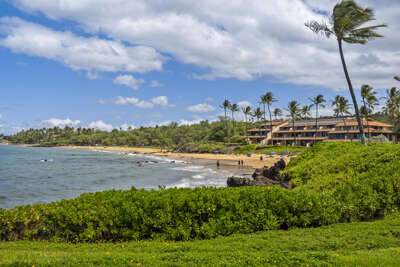 MAKENA SURF, #F-111 MAKENA SURF, #F-111