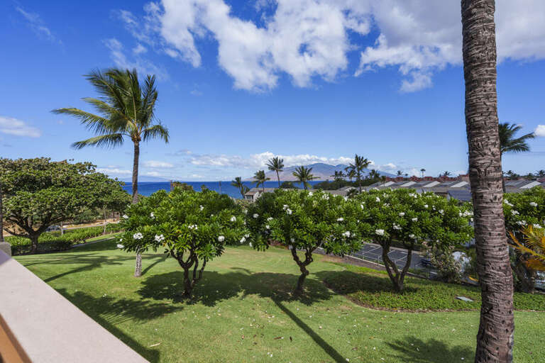 MAUI KAMAOLE, #H-208**