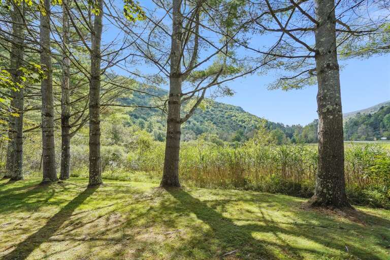 Plenty of trees and fresh air.