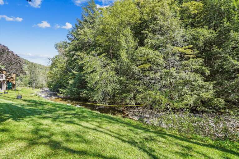 Nature abounds Cedarbrook.
