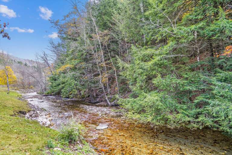 Plenty of nature to enjoy!