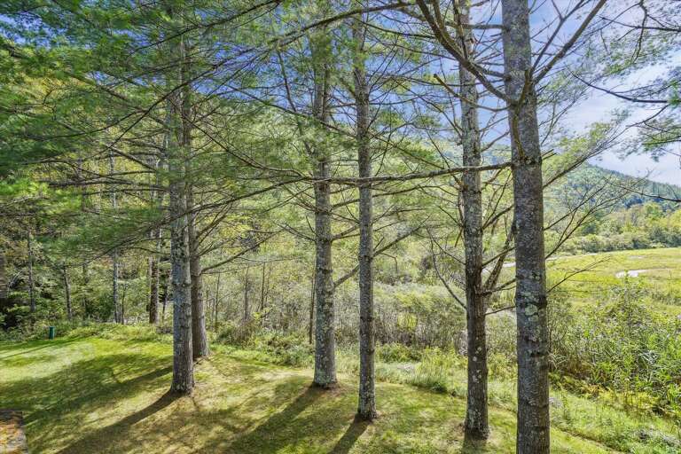 Nature abounds Cedarbrook.