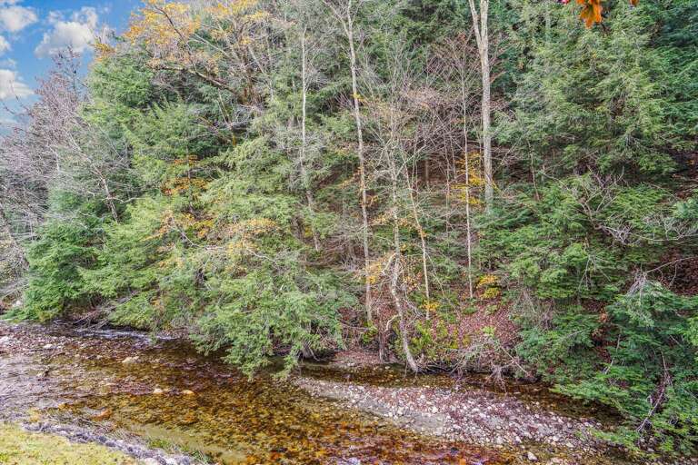 Nature abounds Cedarbrook.