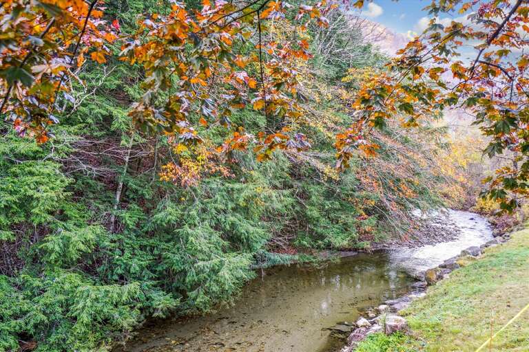 Plenty of nature to enjoy!