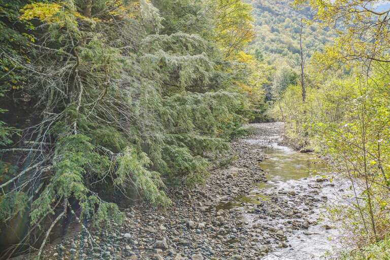 Plenty of nature to enjoy!