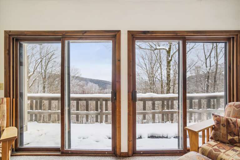 Mountain View Windows