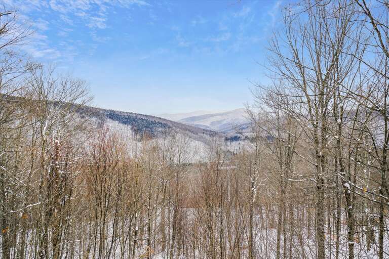 Mountain Views