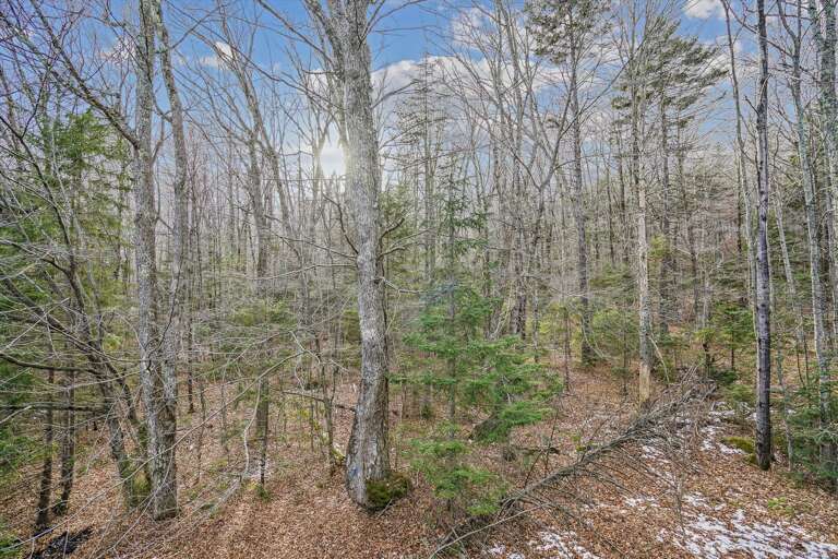 Take a walk, and breathe in the fresh air.