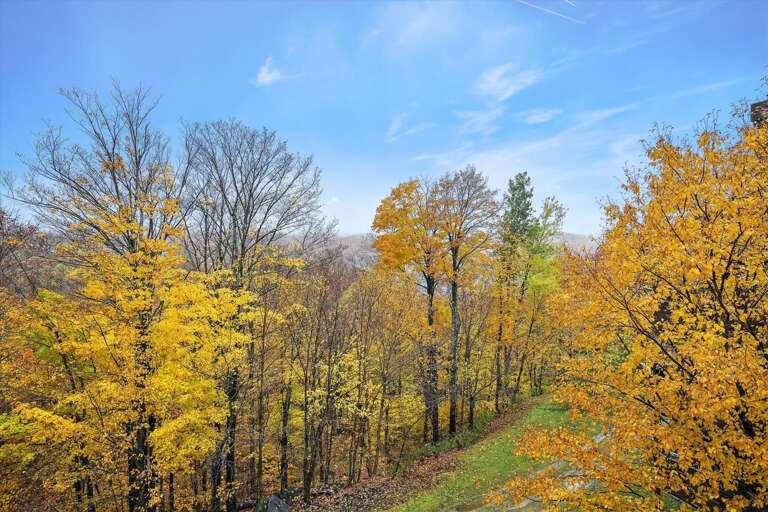 Gorgeous views and surrounding   scenery in any season!