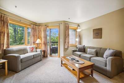 Your Mountain Living Room