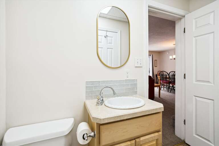 Lower level bathroom