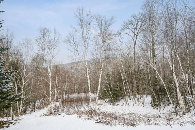 Plenty of area to take a walk.