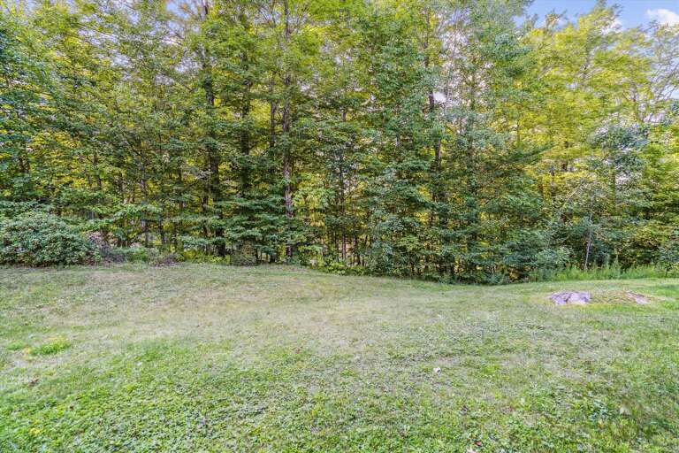 Take a walk through nature!