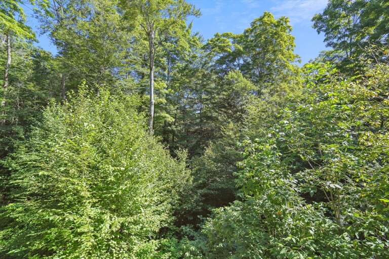 View around your lodging