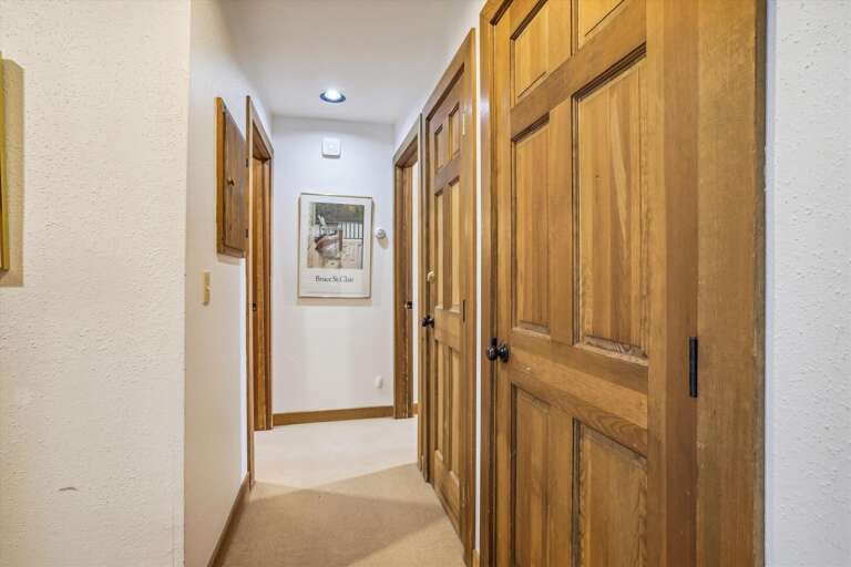 The hallway has plenty of closets.