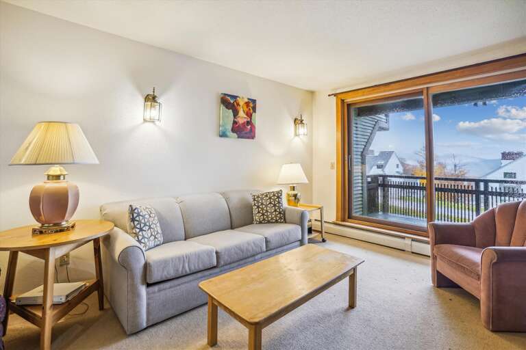 Living Room with a View