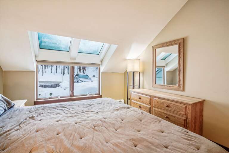 Skylights with Seasonal Views