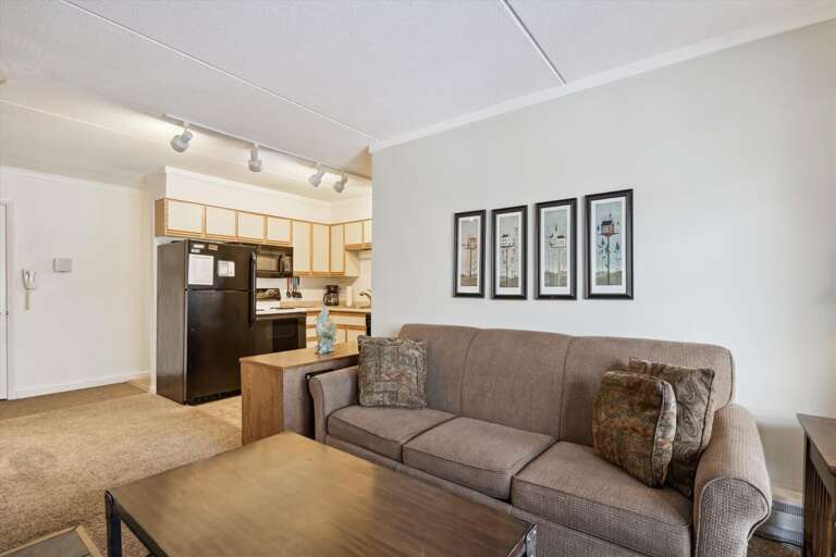 Living room has queen sized sofa bed