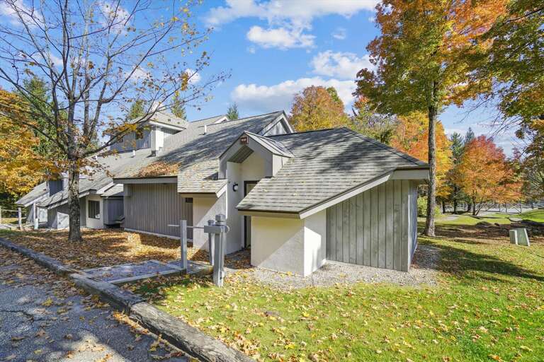 Welcome to the Woods.