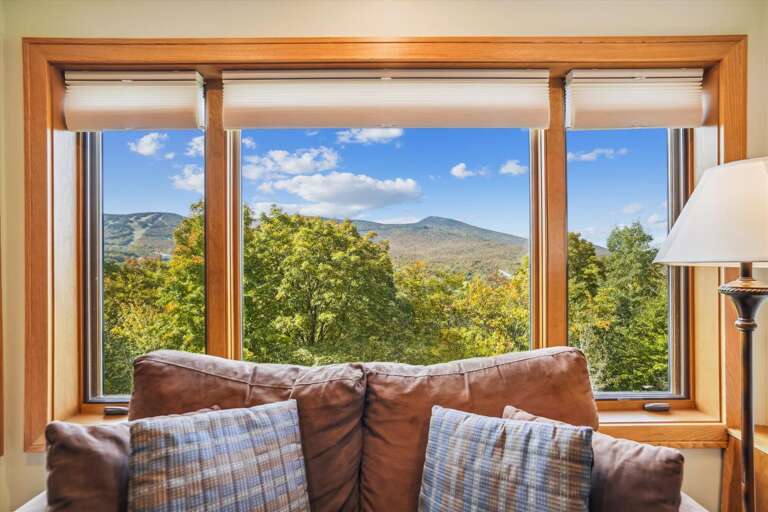 Breath taking views any season right from your living room