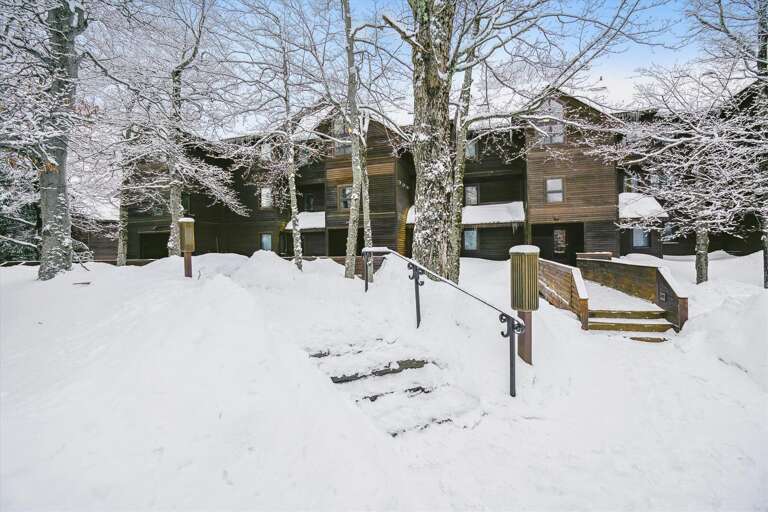 Snow-covered Steps Lead To Brown Buildings Beneath Bare Branches Snow-covered Steps Lead To Brown Buildings Beneath Bare Branches