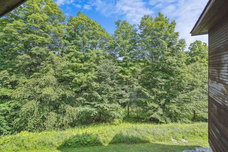 Beautiful wooded view and scenery from your unit Beautiful wooded view and scenery from your unit