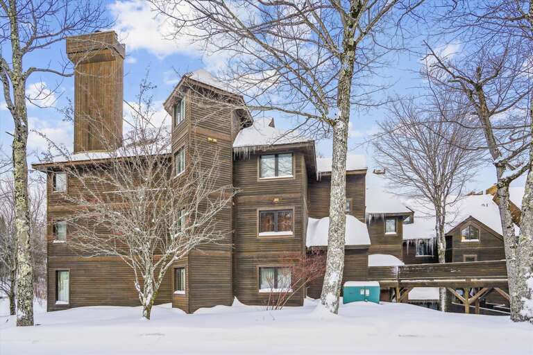 Winter Wood Vacation Rental Nestled Neatly In Snowy Setting