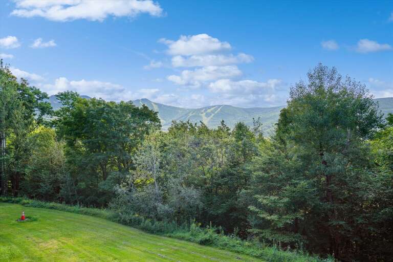 Views outside of the condo.