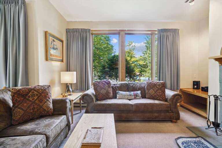 The living room has a sleeper sofa. The living room has a sleeper sofa.