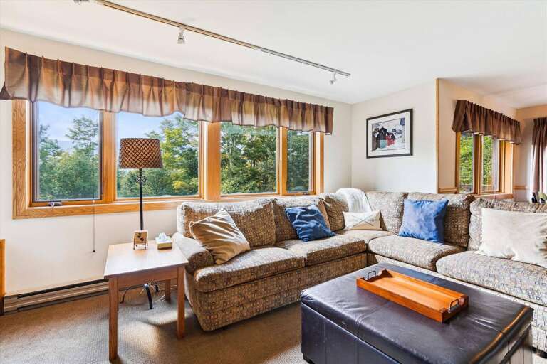 Living Room with Mountain Views